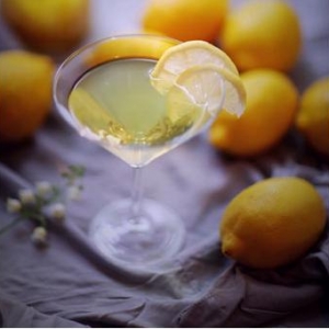 LIMONCELLO ʾ + ʾƿ~