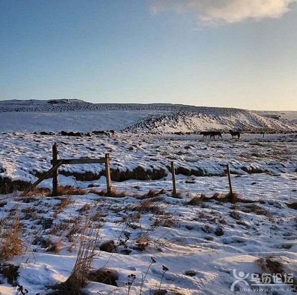 Fluðir Iceland