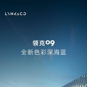 I(lng)09615